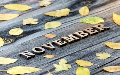 Welcome to the November issue of my newsletter.