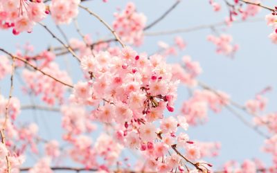 Spring is Here and Time to Invest in Yourself
