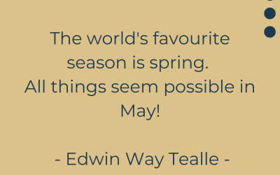 All Things Seem Possible in May!