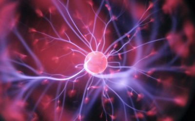 The Neurodivergent Mind in the Workplace